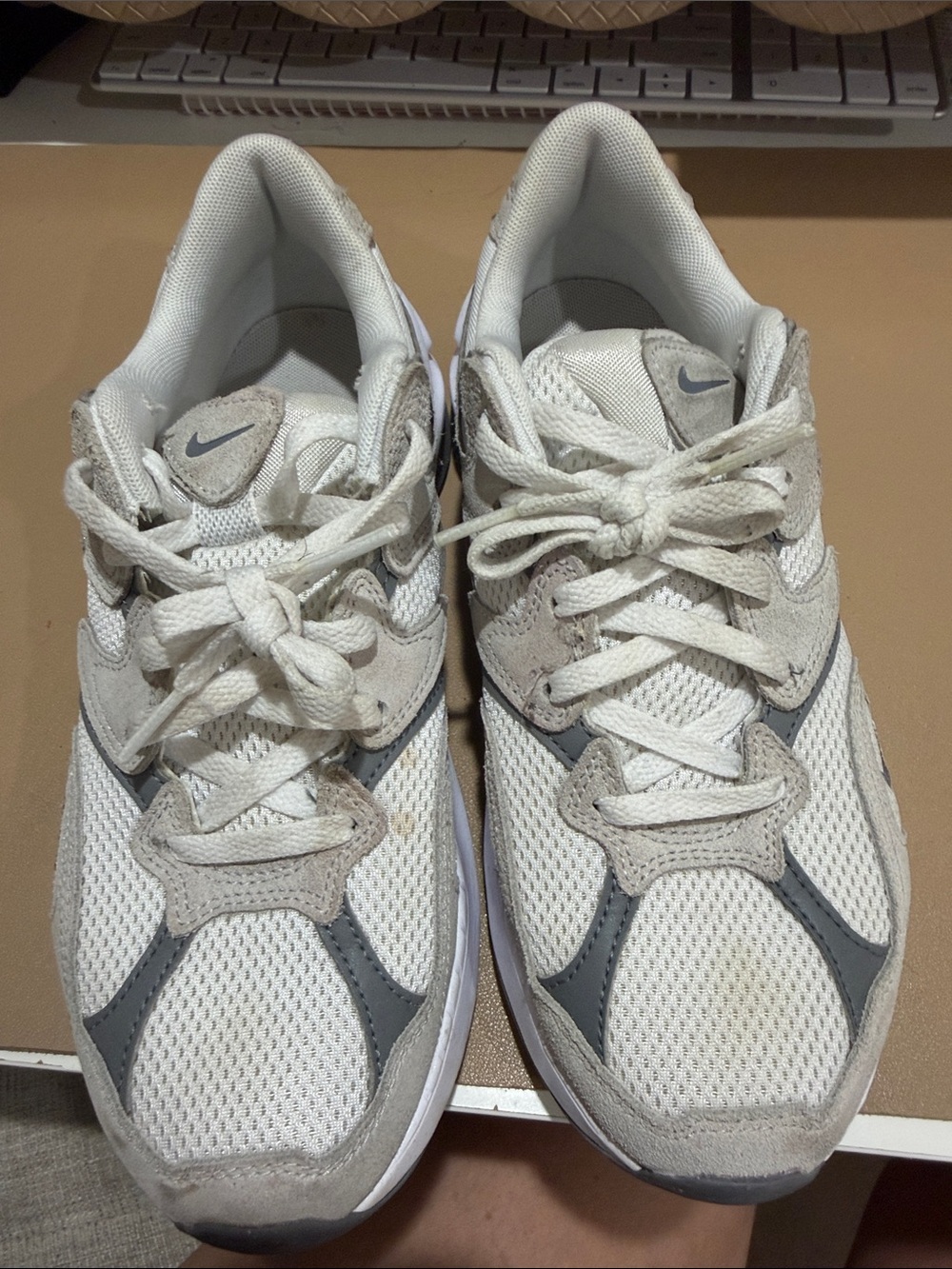 Nike Kids White and Gray Mesh Low-Top Sneakers